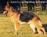 V (LGZS) Franca aus der Brunnenstra�e